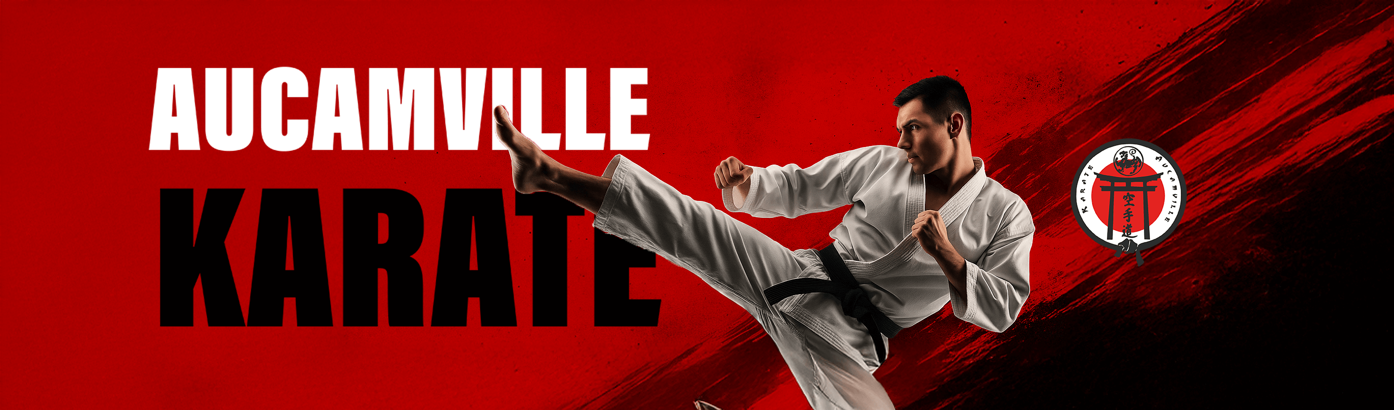 Bannière Aucamville karaté club